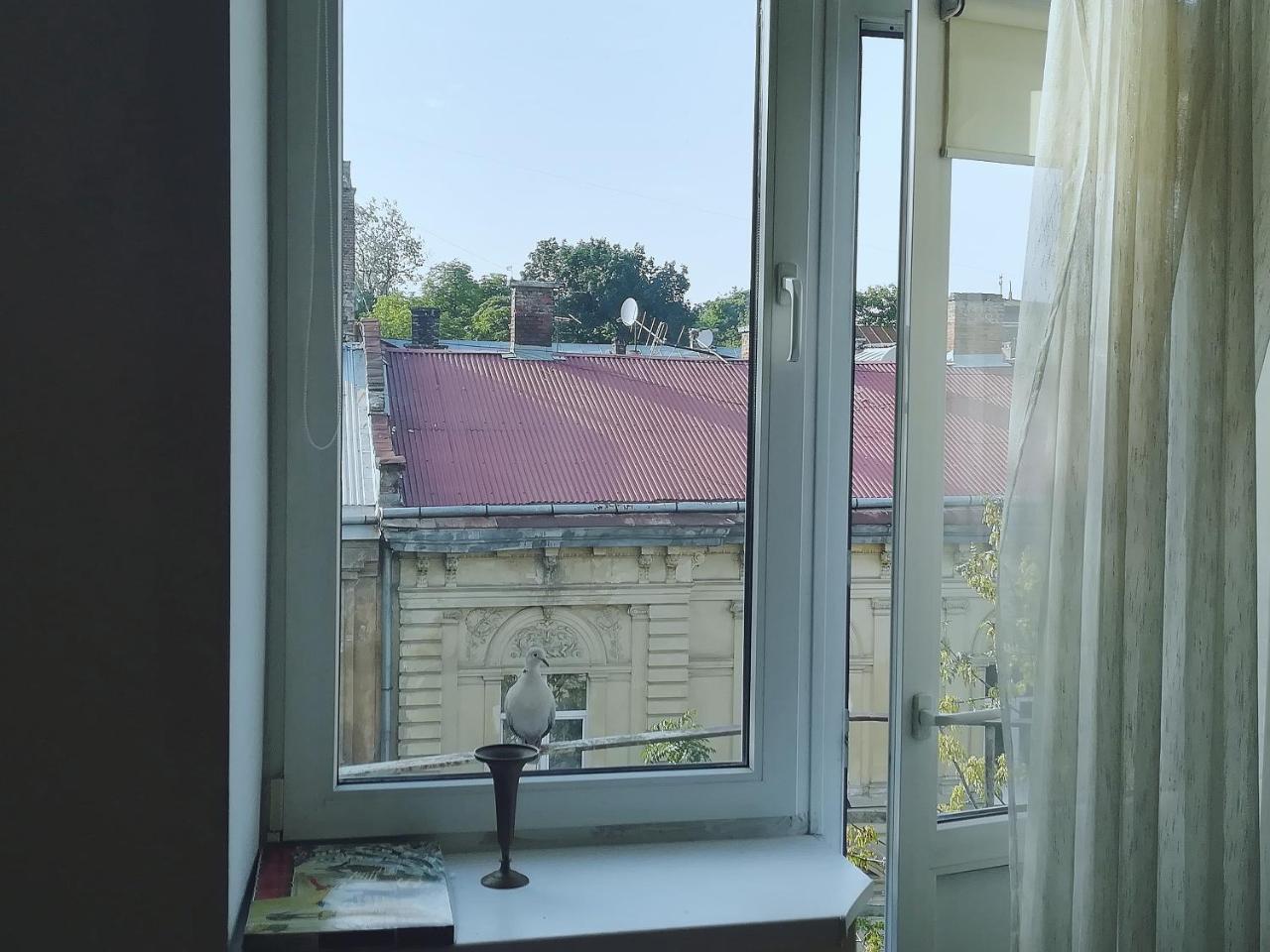 Valentine Apartment Lvov Exteriér fotografie